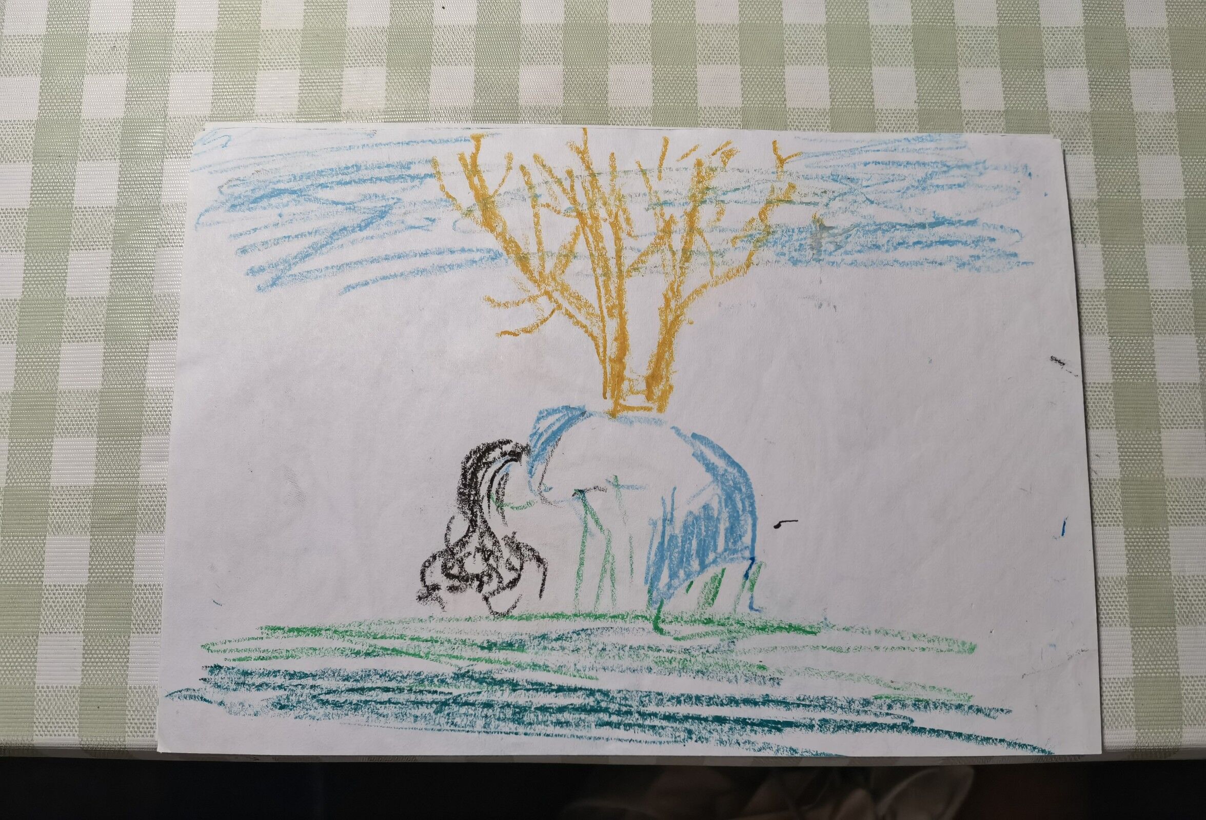 活动精彩作品展示