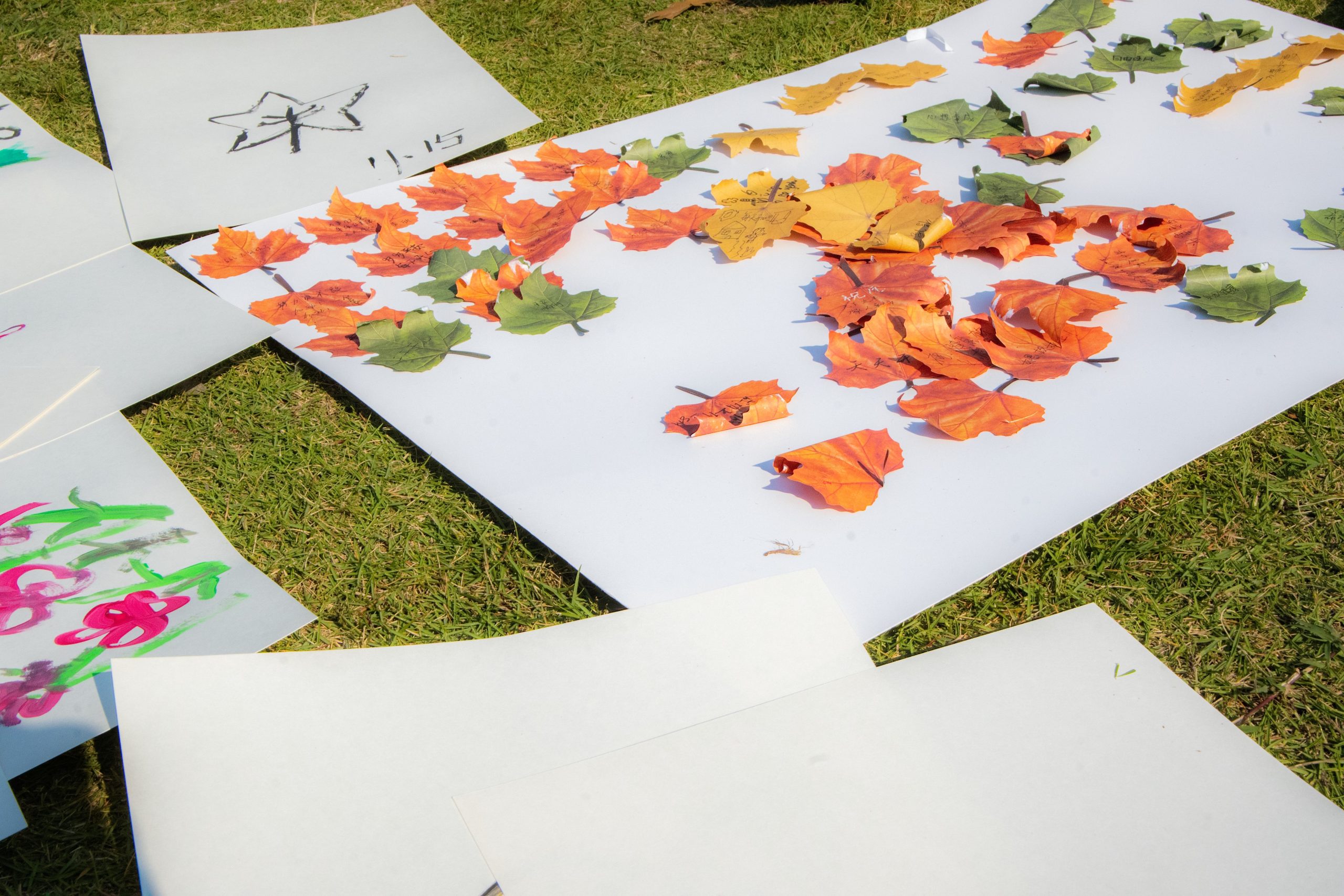 阳光下围坐阅读的同学们