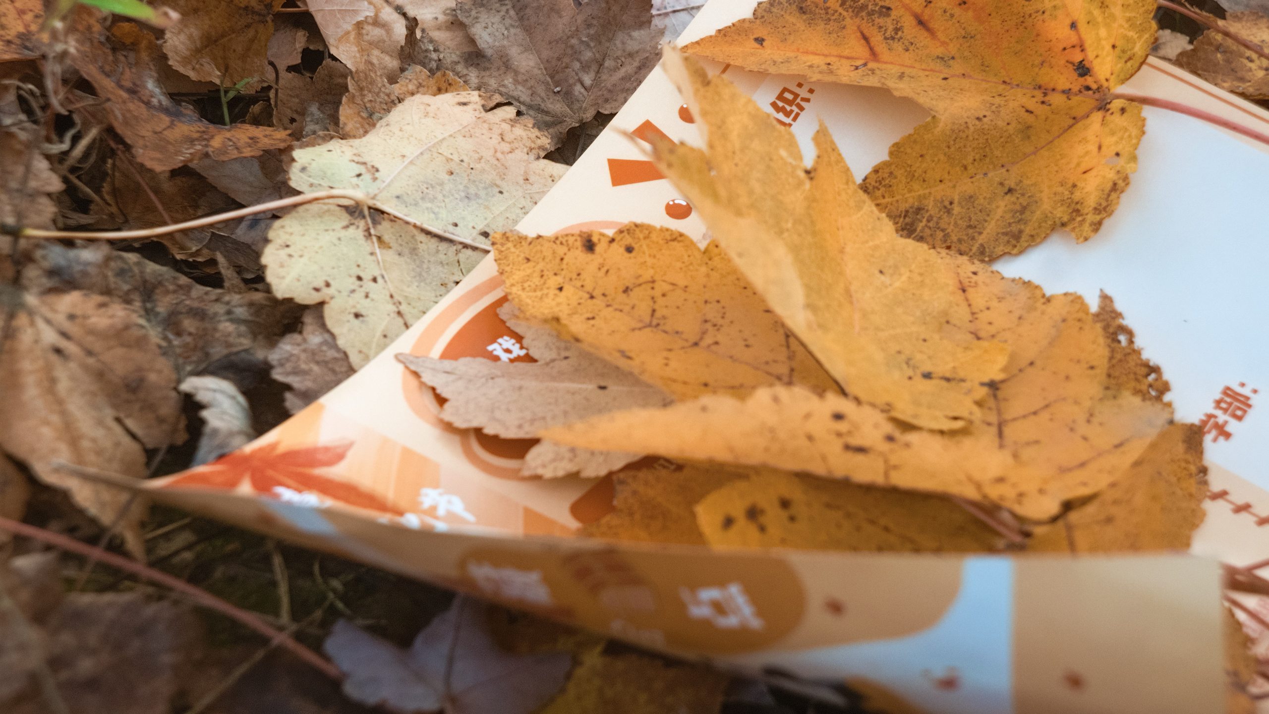 桌上摊开的书与咖啡杯